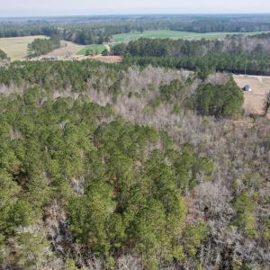 Photo #10 of Off Seven Creeks Hwy, Nakina, NC 9.9 acres