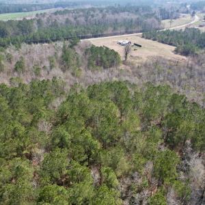 Photo #11 of Off Seven Creeks Hwy, Nakina, NC 9.9 acres