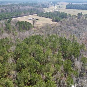 Photo #12 of Off Seven Creeks Hwy, Nakina, NC 9.9 acres