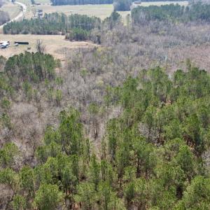 Photo #13 of Off Seven Creeks Hwy, Nakina, NC 9.9 acres