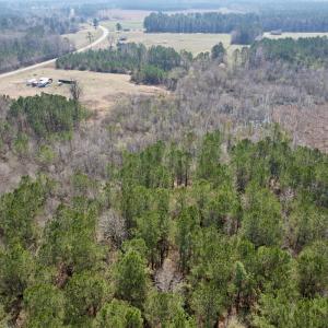 Photo #14 of Off Seven Creeks Hwy, Nakina, NC 9.9 acres