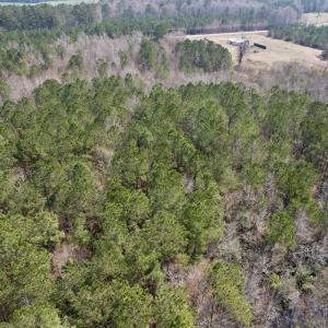 Photo #20 of Off Seven Creeks Hwy, Nakina, NC 9.9 acres