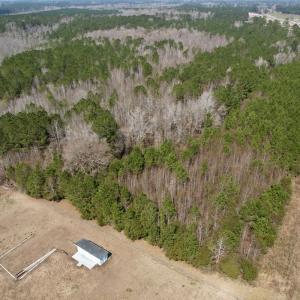 Photo #4 of Off Seven Creeks Hwy, Nakina, NC 9.9 acres