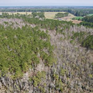 Photo #7 of Off Seven Creeks Hwy, Nakina, NC 9.9 acres