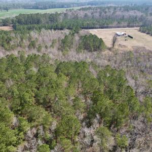 Photo #9 of Off Seven Creeks Hwy, Nakina, NC 9.9 acres