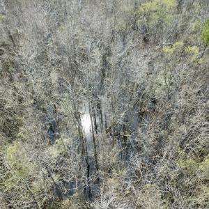 Photo #23 of Off Seven Creeks Hwy, Nakina, NC 9.9 acres