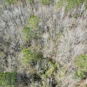 Photo #27 of Off Seven Creeks Hwy, Nakina, NC 9.9 acres
