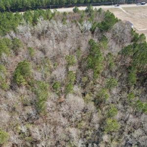 Photo #28 of Off Seven Creeks Hwy, Nakina, NC 9.9 acres