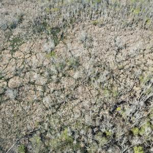 Photo #29 of Off Seven Creeks Hwy, Nakina, NC 9.9 acres
