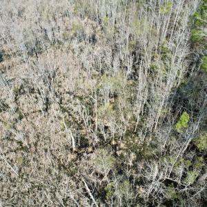 Photo #30 of Off Seven Creeks Hwy, Nakina, NC 9.9 acres