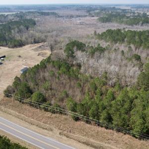 Photo #39 of Off Seven Creeks Hwy, Nakina, NC 9.9 acres