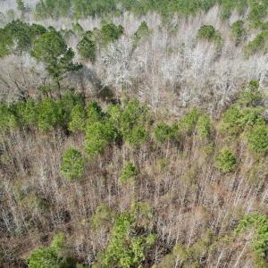 Photo #41 of Off Seven Creeks Hwy, Nakina, NC 9.9 acres