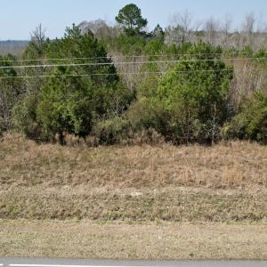 Photo #42 of Off Seven Creeks Hwy, Nakina, NC 9.9 acres