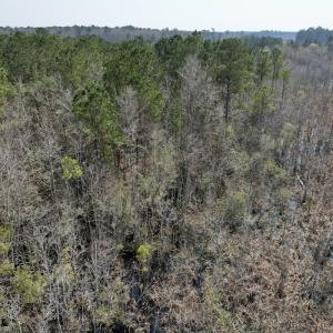 Photo #43 of Off Seven Creeks Hwy, Nakina, NC 9.9 acres
