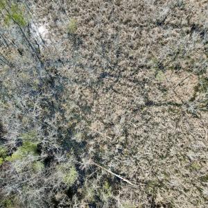 Photo #50 of Off Seven Creeks Hwy, Nakina, NC 9.9 acres