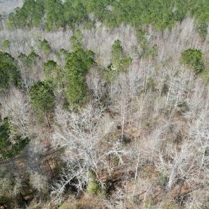 Photo #55 of Off Seven Creeks Hwy, Nakina, NC 9.9 acres