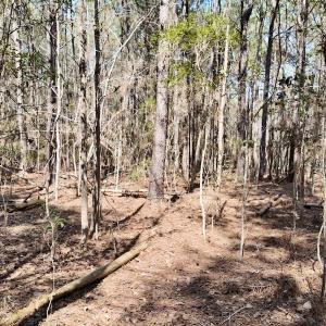 Photo #57 of Off Seven Creeks Hwy, Nakina, NC 9.9 acres
