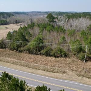 Photo #60 of Off Seven Creeks Hwy, Nakina, NC 9.9 acres