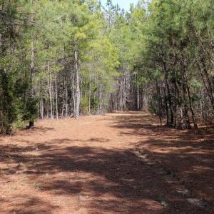 Photo #9 of Off Christopher Lane, Keysville, VA 59.0 acres