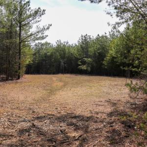 Photo #10 of Off Christopher Lane, Keysville, VA 59.0 acres