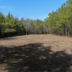 Photo #11 of Off Christopher Lane, Keysville, VA 59.0 acres