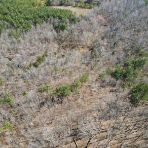 Photo #13 of Off Christopher Lane, Keysville, VA 59.0 acres
