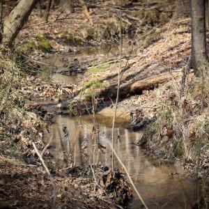 Photo #15 of Off Christopher Lane, Keysville, VA 59.0 acres