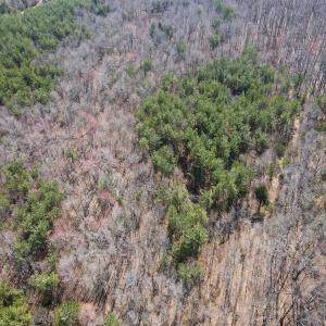 Photo #18 of Off Christopher Lane, Keysville, VA 59.0 acres