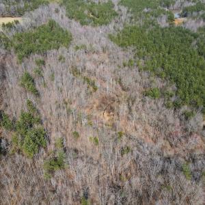Photo #19 of Off Christopher Lane, Keysville, VA 59.0 acres