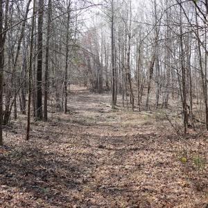Photo #20 of Off Christopher Lane, Keysville, VA 59.0 acres