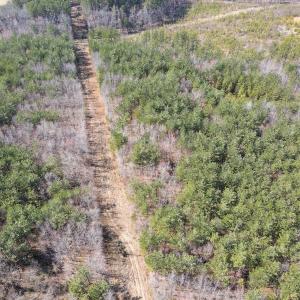 Photo #3 of Off Christopher Lane, Keysville, VA 59.0 acres