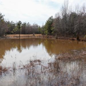 Photo #4 of Off Christopher Lane, Keysville, VA 59.0 acres
