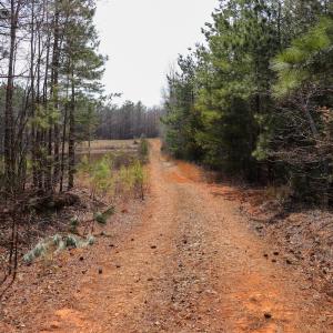 Photo #5 of Off Christopher Lane, Keysville, VA 59.0 acres