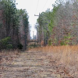 Photo #6 of Off Christopher Lane, Keysville, VA 59.0 acres