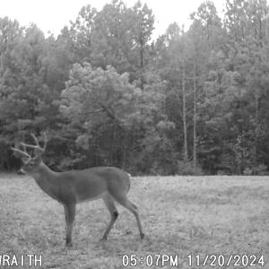 Photo #7 of Off Christopher Lane, Keysville, VA 59.0 acres