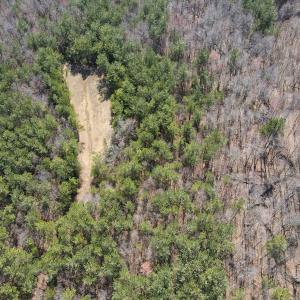 Photo #8 of Off Christopher Lane, Keysville, VA 59.0 acres