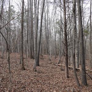 Photo #21 of Off Christopher Lane, Keysville, VA 59.0 acres