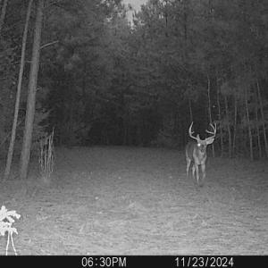 Photo #23 of Off Christopher Lane, Keysville, VA 59.0 acres