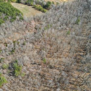 Photo #25 of Off Christopher Lane, Keysville, VA 59.0 acres