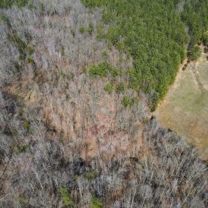 Photo #26 of Off Christopher Lane, Keysville, VA 59.0 acres