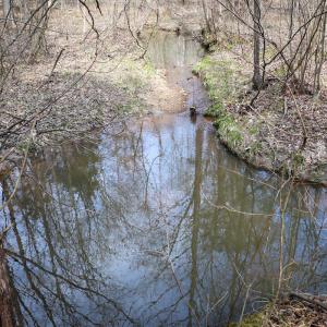 Photo #30 of Off Christopher Lane, Keysville, VA 59.0 acres