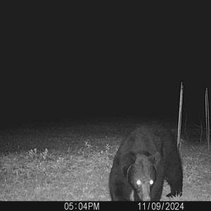 Photo #31 of Off Christopher Lane, Keysville, VA 59.0 acres