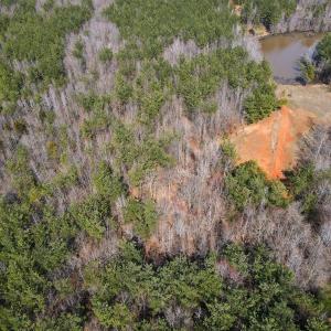 Photo #32 of Off Christopher Lane, Keysville, VA 59.0 acres