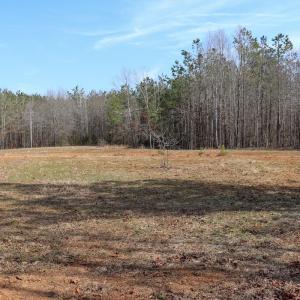 Photo #34 of Off Christopher Lane, Keysville, VA 59.0 acres