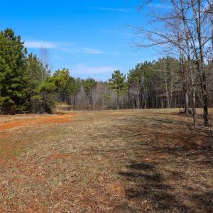 Photo #35 of Off Christopher Lane, Keysville, VA 59.0 acres