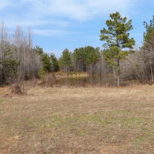 Photo #37 of Off Christopher Lane, Keysville, VA 59.0 acres