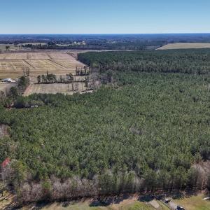 Photo #9 of Off Highway 41, Trenton, NC 50.7 acres
