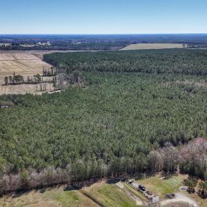 Photo #10 of Off Highway 41, Trenton, NC 50.7 acres