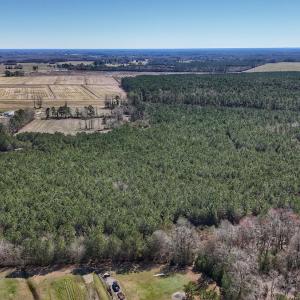 Photo #11 of Off Highway 41, Trenton, NC 50.7 acres