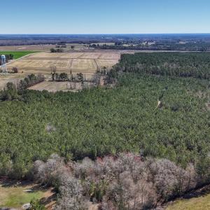 Photo #12 of Off Highway 41, Trenton, NC 50.7 acres